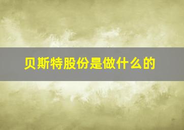 贝斯特股份是做什么的