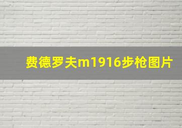 费德罗夫m1916步枪图片