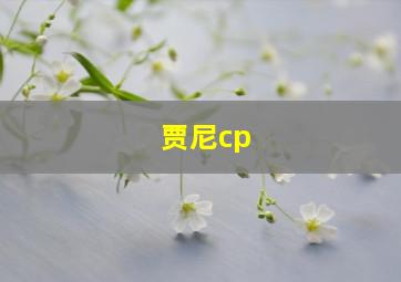 贾尼cp