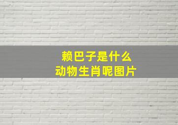 赖巴子是什么动物生肖呢图片