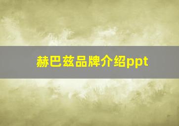 赫巴兹品牌介绍ppt