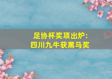 足协杯奖项出炉:四川九牛获黑马奖