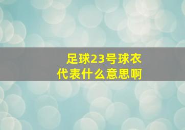 足球23号球衣代表什么意思啊