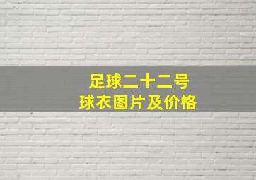 足球二十二号球衣图片及价格