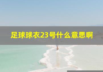 足球球衣23号什么意思啊