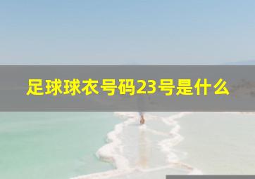 足球球衣号码23号是什么