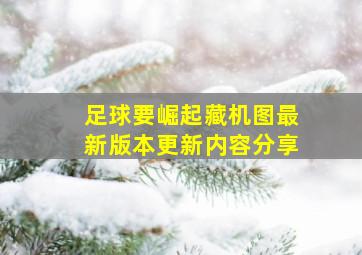 足球要崛起藏机图最新版本更新内容分享