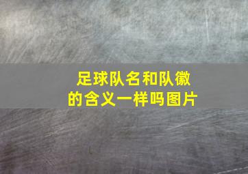 足球队名和队徽的含义一样吗图片