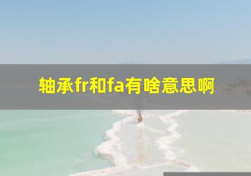 轴承fr和fa有啥意思啊