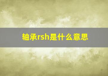 轴承rsh是什么意思