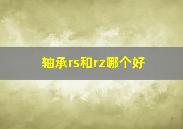 轴承rs和rz哪个好