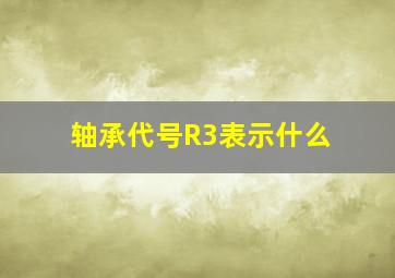 轴承代号R3表示什么