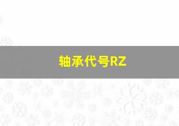 轴承代号RZ