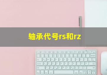 轴承代号rs和rz