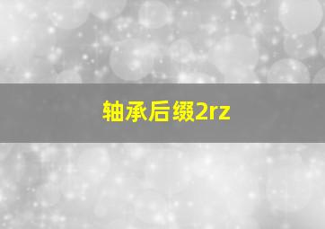 轴承后缀2rz