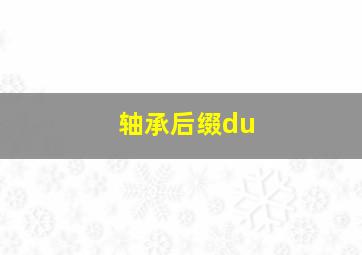 轴承后缀du