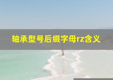 轴承型号后缀字母rz含义