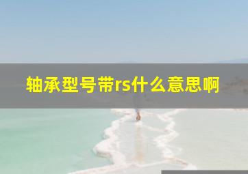 轴承型号带rs什么意思啊