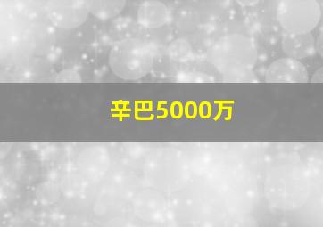 辛巴5000万