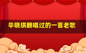 辛晓琪翻唱过的一首老歌