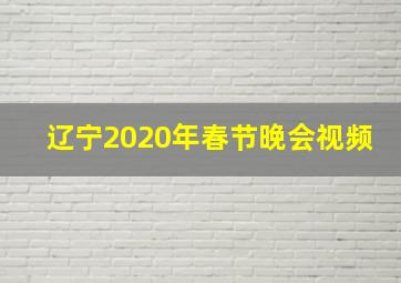 辽宁2020年春节晚会视频