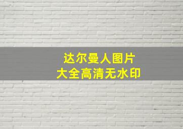 达尔曼人图片大全高清无水印