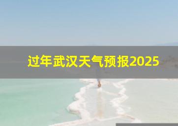 过年武汉天气预报2025