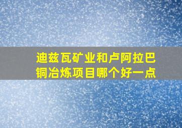 迪兹瓦矿业和卢阿拉巴铜冶炼项目哪个好一点