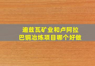 迪兹瓦矿业和卢阿拉巴铜冶炼项目哪个好做