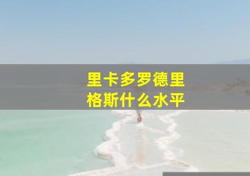 里卡多罗德里格斯什么水平