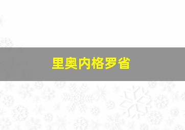 里奥内格罗省