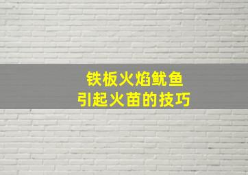 铁板火焰鱿鱼引起火苗的技巧