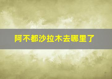 阿不都沙拉木去哪里了