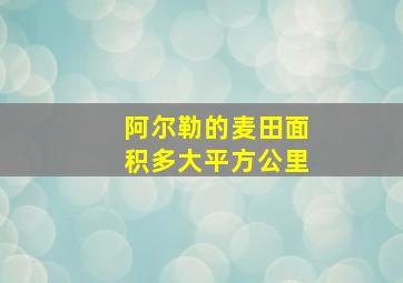 阿尔勒的麦田面积多大平方公里