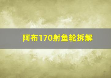 阿布170射鱼轮拆解