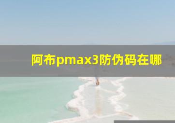 阿布pmax3防伪码在哪