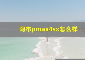 阿布pmax4sx怎么样