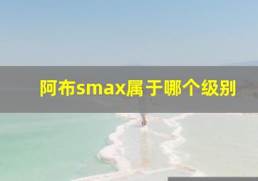 阿布smax属于哪个级别