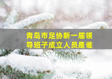 青岛市足协新一届领导班子成立人员是谁