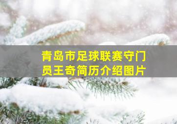 青岛市足球联赛守门员王奇简历介绍图片