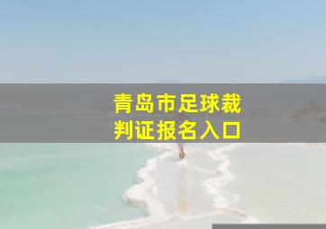 青岛市足球裁判证报名入口