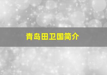 青岛田卫国简介