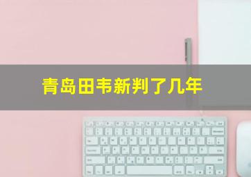 青岛田韦新判了几年