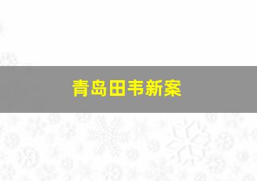 青岛田韦新案