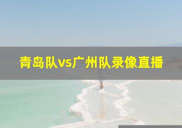 青岛队vs广州队录像直播