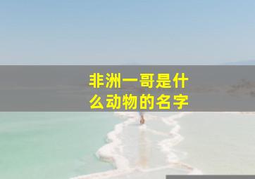 非洲一哥是什么动物的名字