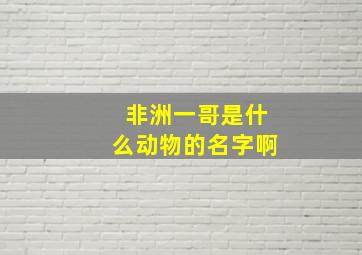 非洲一哥是什么动物的名字啊