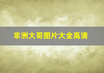 非洲大哥图片大全高清