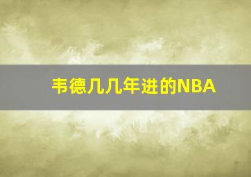 韦德几几年进的NBA