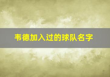 韦德加入过的球队名字